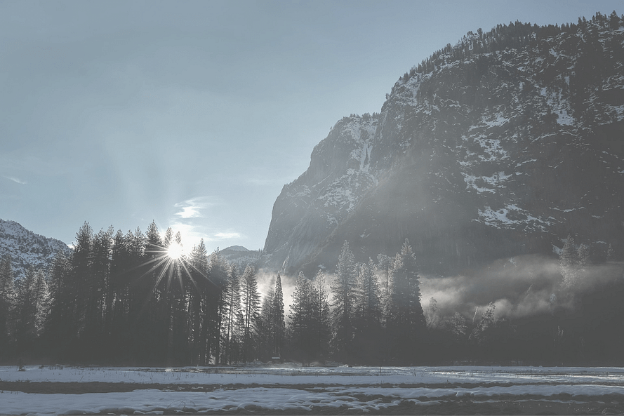 the 4 principles of good living